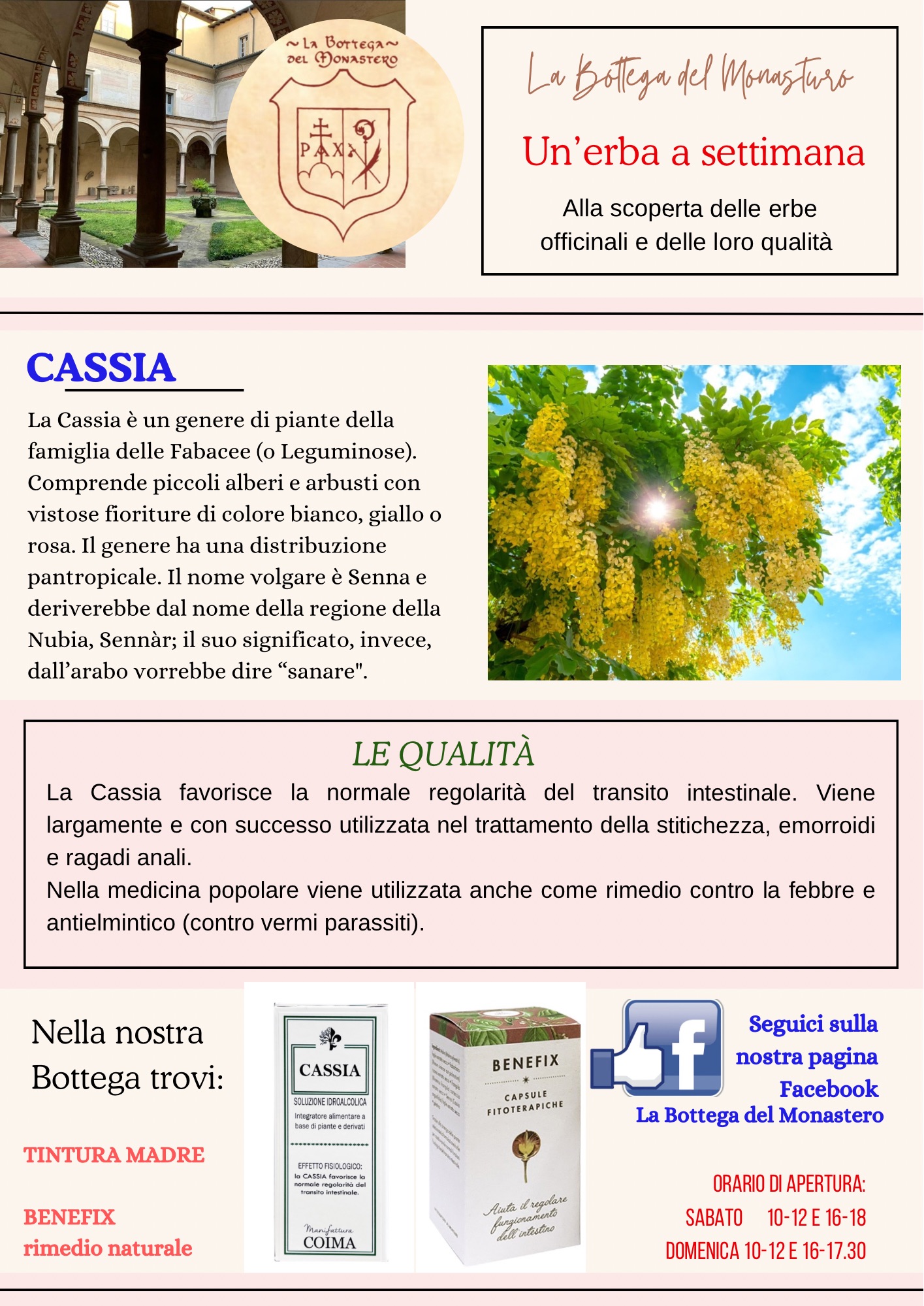 Cassia