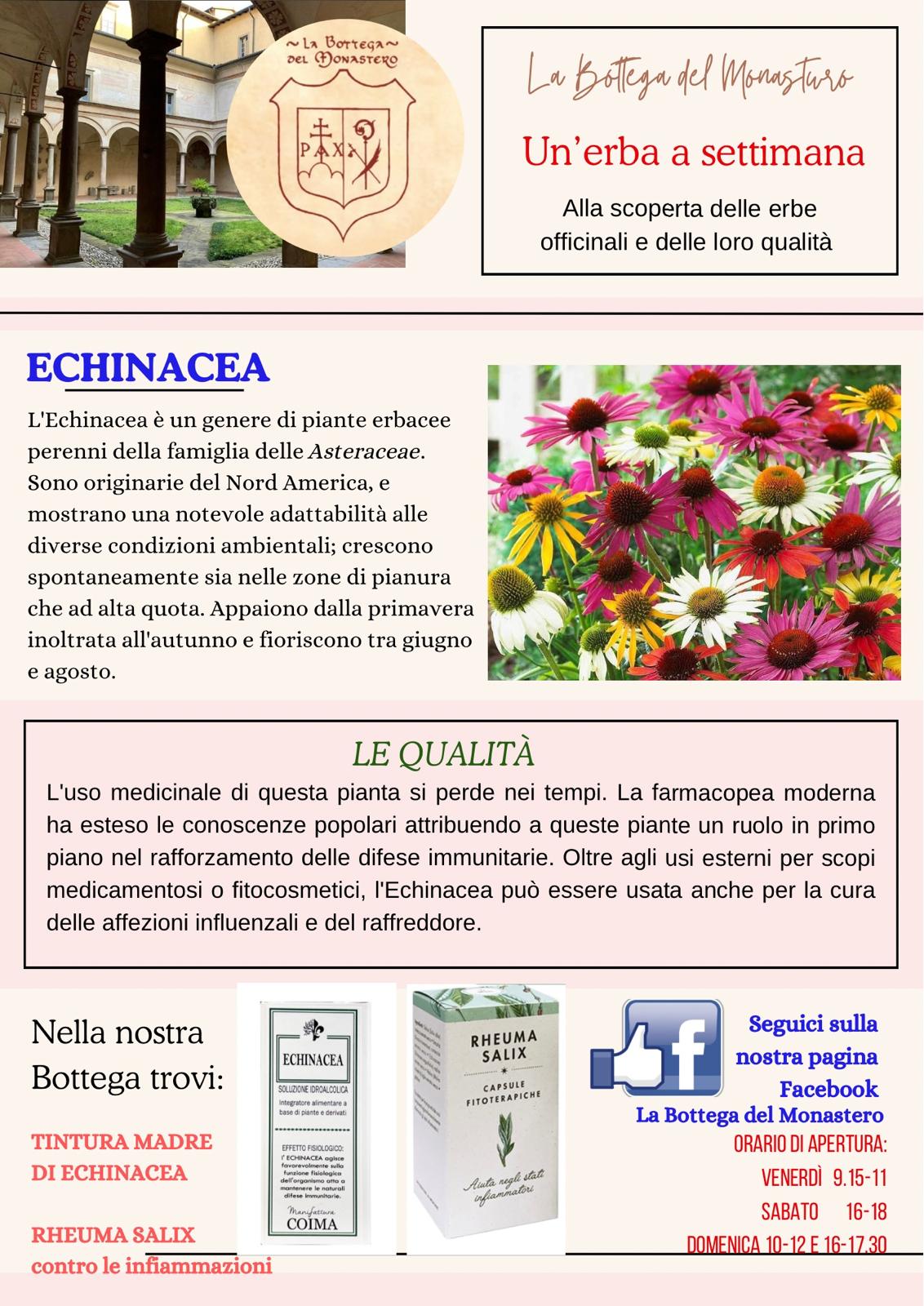 ECHINACEA
