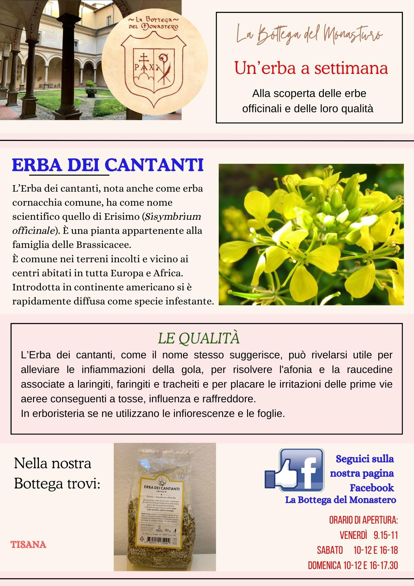 Erba dei cantanti