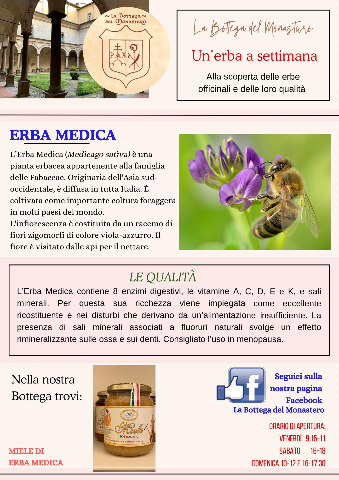 Erba medica