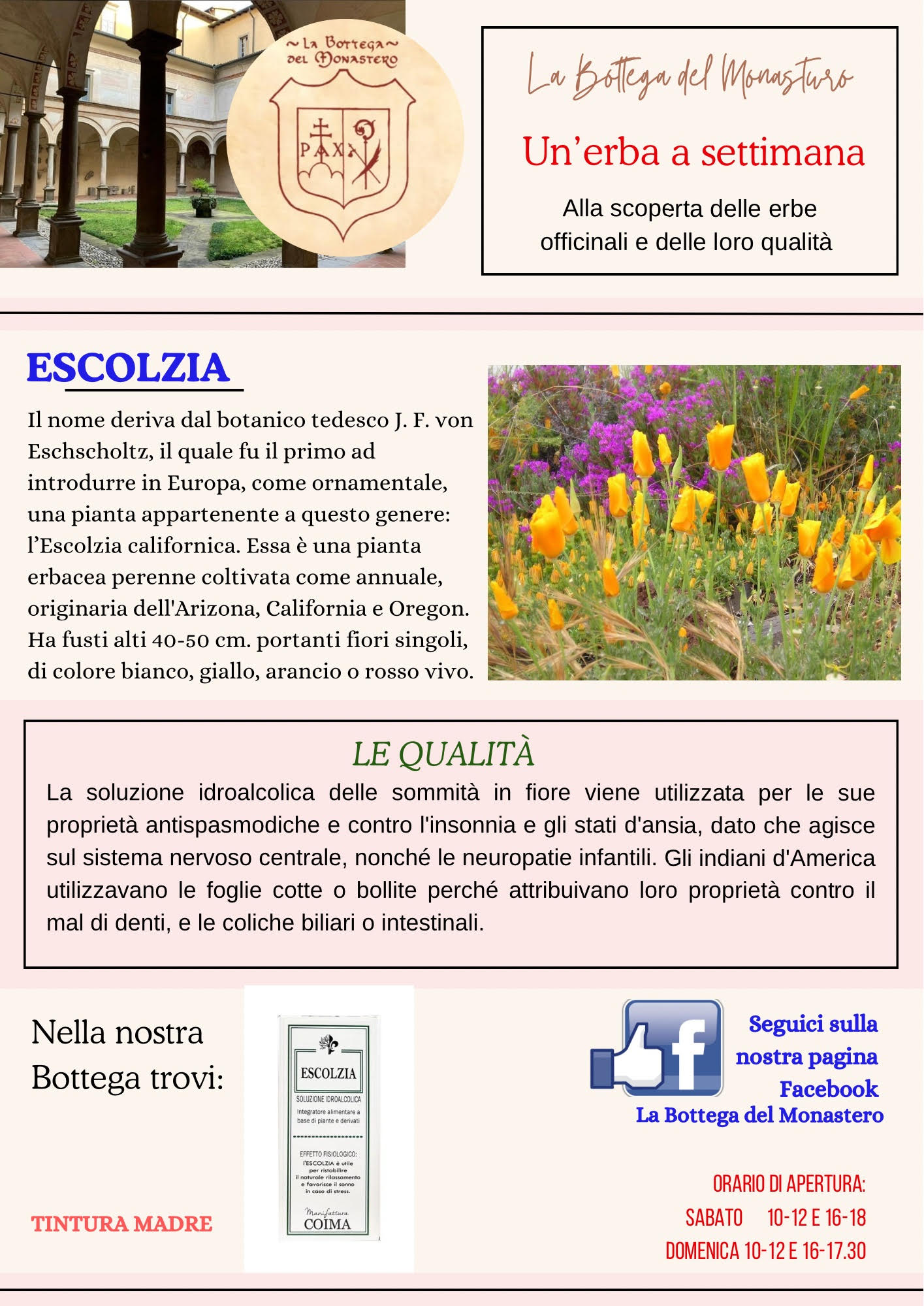 Escolzia
