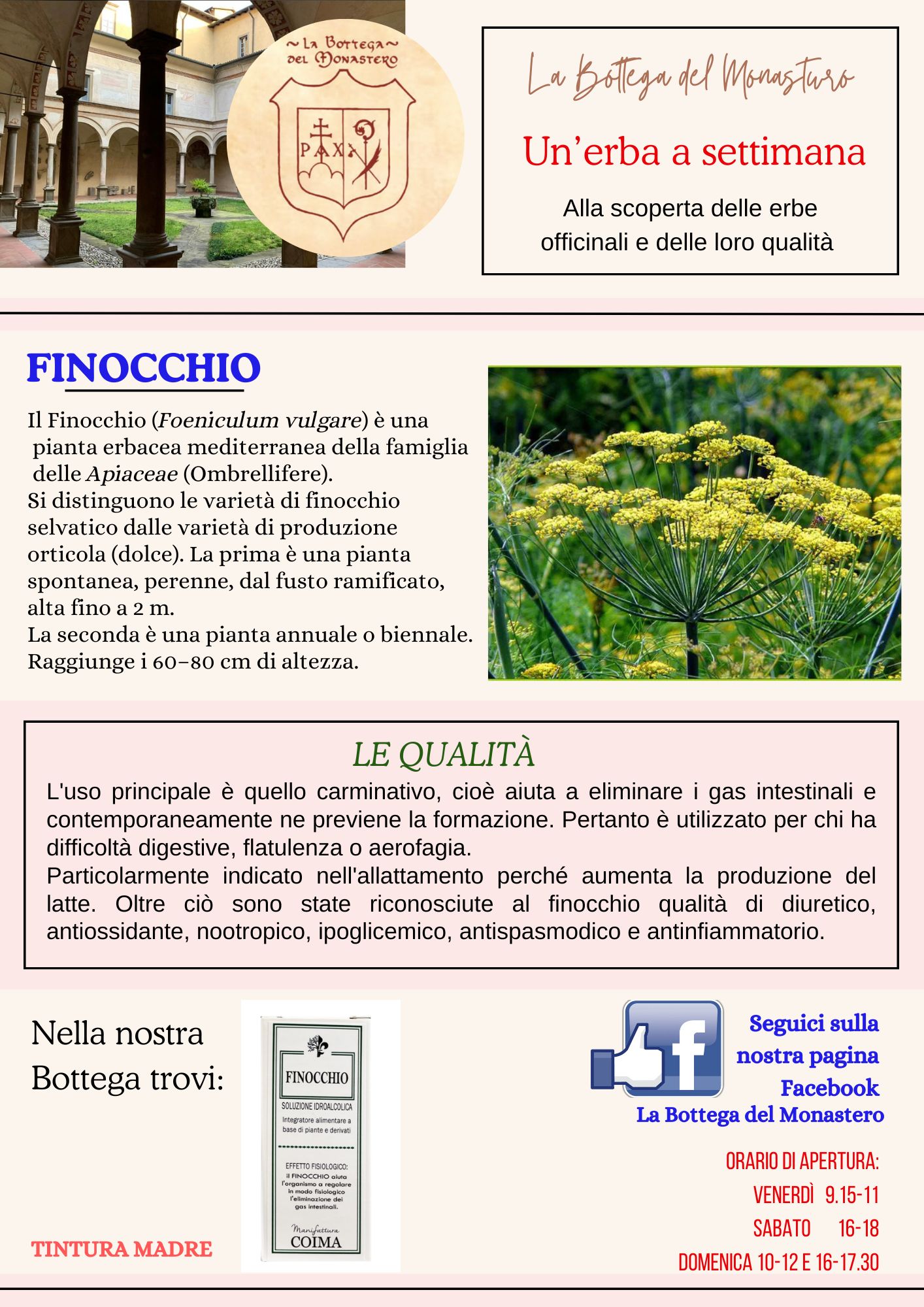 Finocchio.jpg