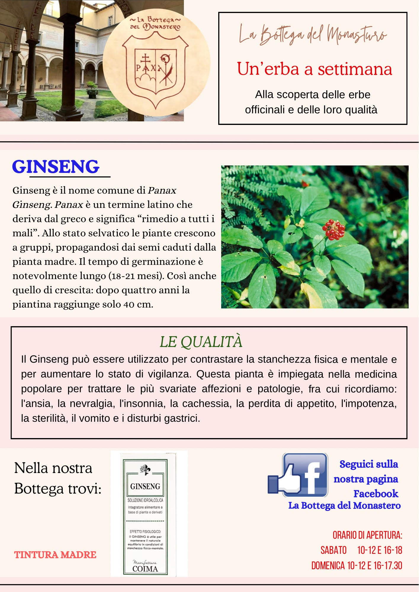 Ginseng