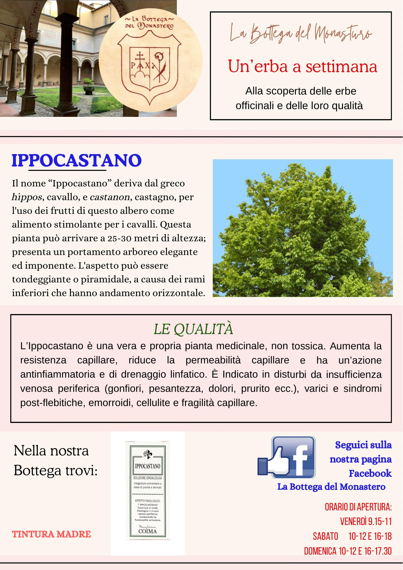 Ippocastano