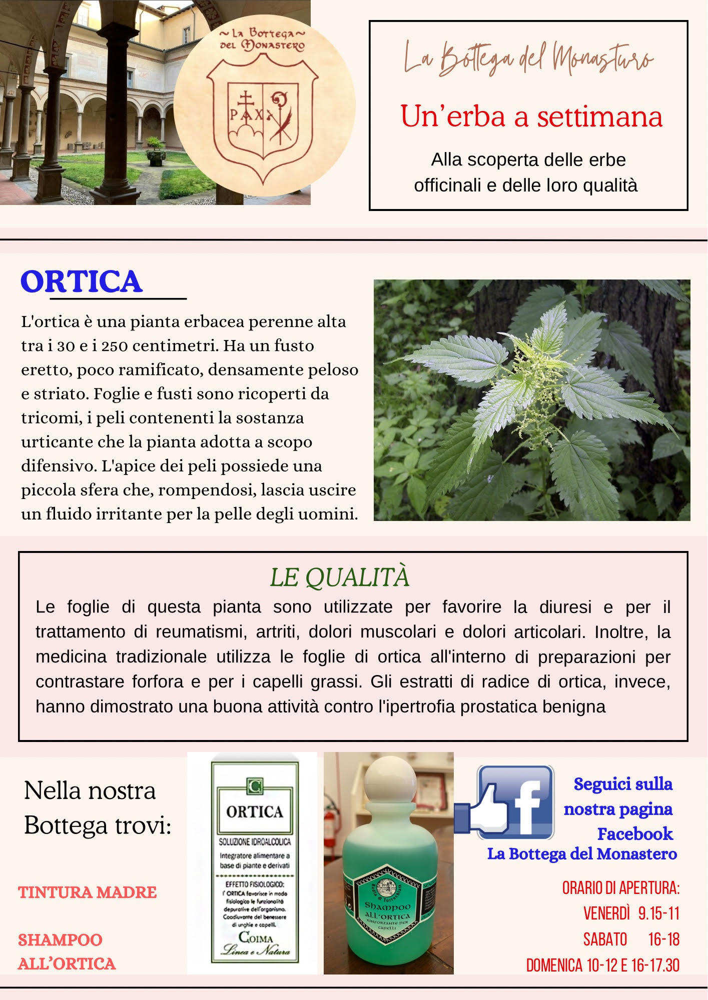 Ortica