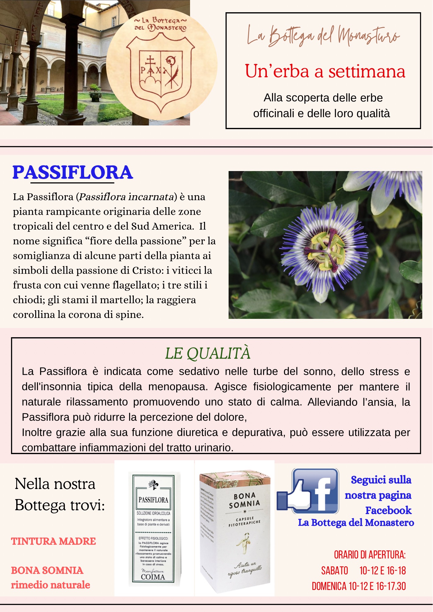 Passiflora