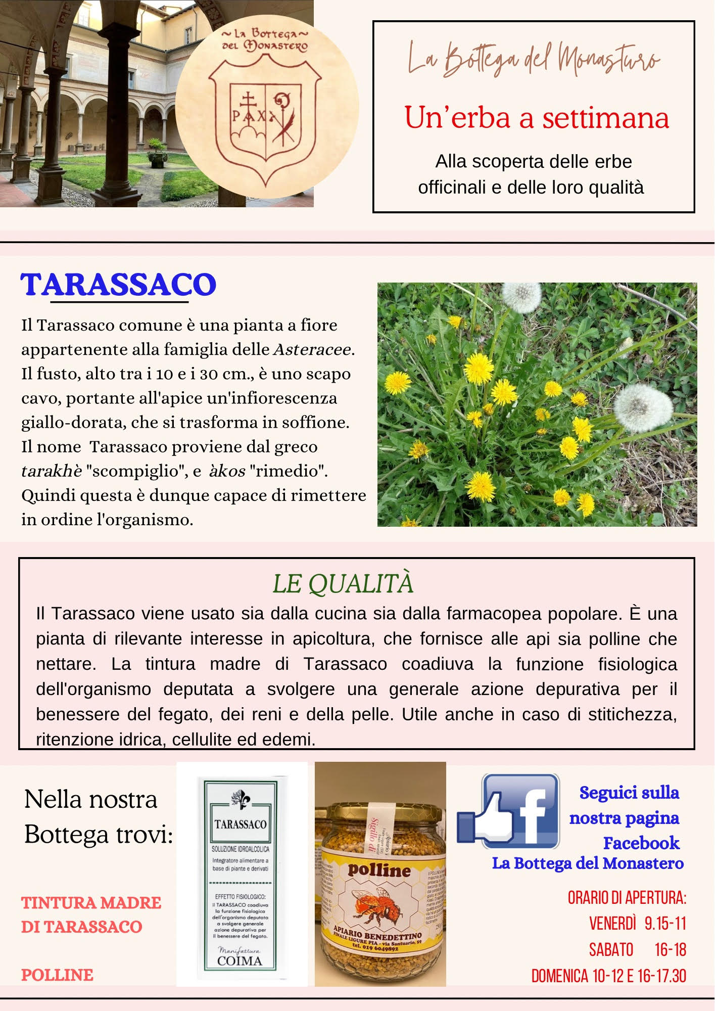 Tarassaco